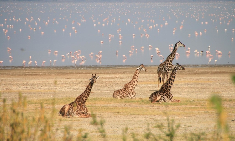CLIMATE & WEATHER OF LAKE MANYARA