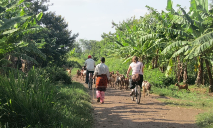 Engage in Community Tourism at Lake Manyara