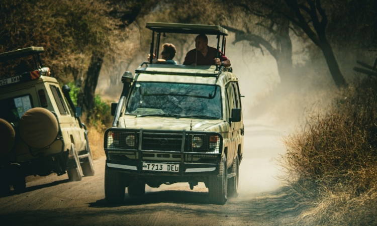 Lake Manyara National Park Entry Fees & Activities Costs